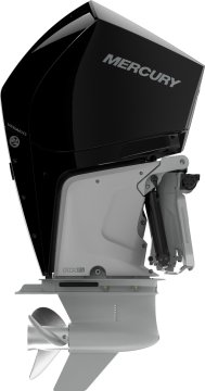 Mercury V 250 L / XL / XXL AM DS - 0