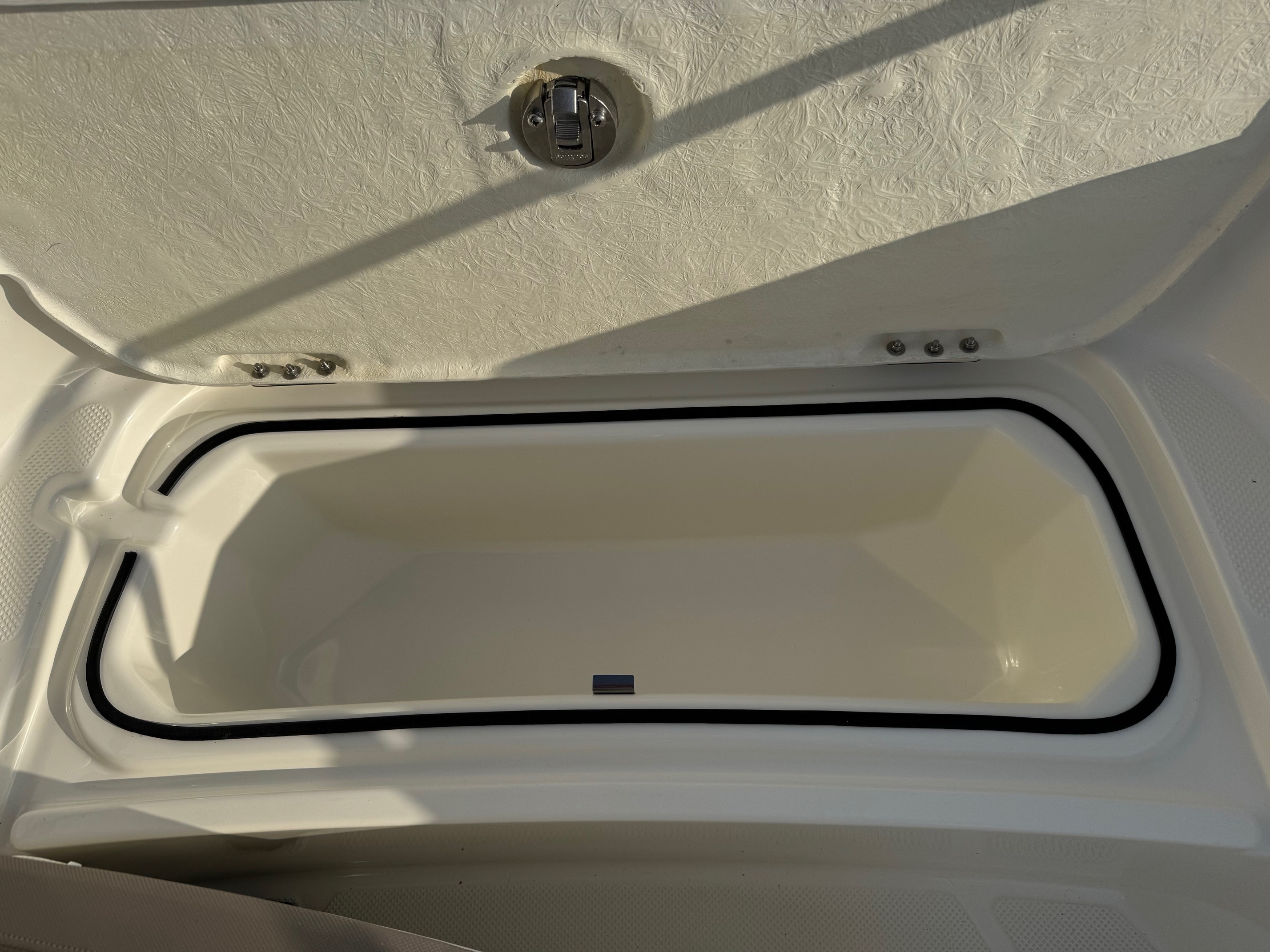 Quicksilver Activ 505 Open med F80 Mercury-EFI 4 takt 2,1L - INKL. udstyr - 16